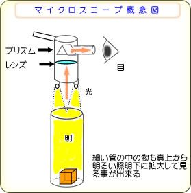 光源の真上からプリズムを介して見ることで、管の底に直接光が当たり影のない拡大映像が得られるマイクロスコープの原理図