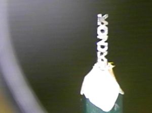 マイクロスコープを使って鉛筆の芯に施した細かい鉛筆彫刻。微細な歯科治療の精度を示す作例